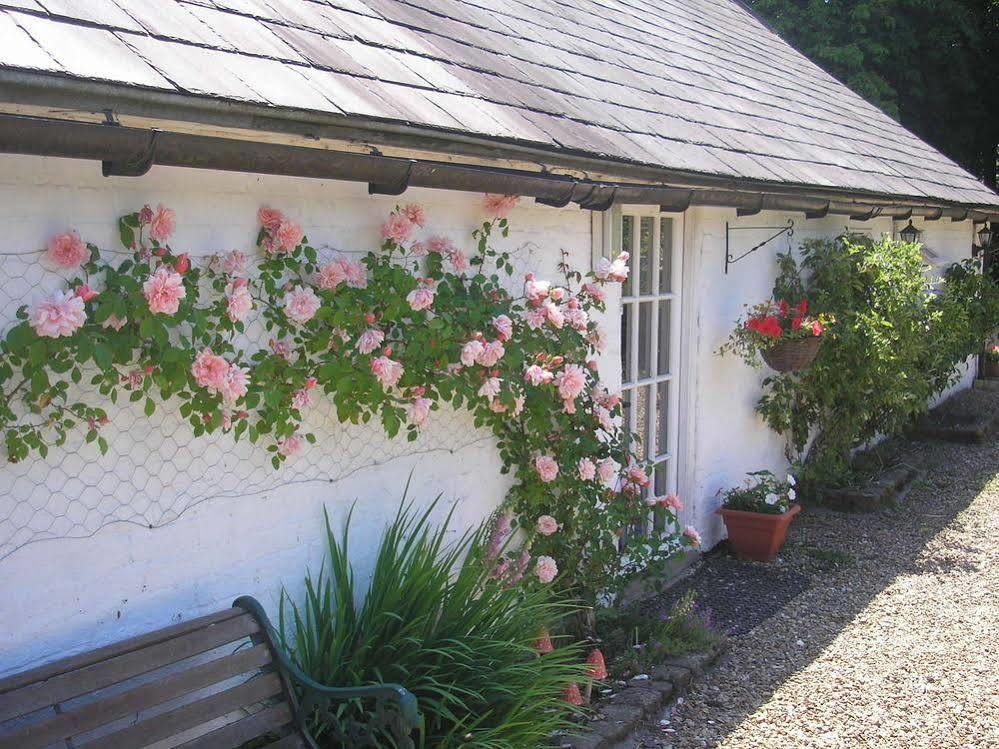 Detling Coachhouse Bed and Breakfast Maidstone Exterior foto